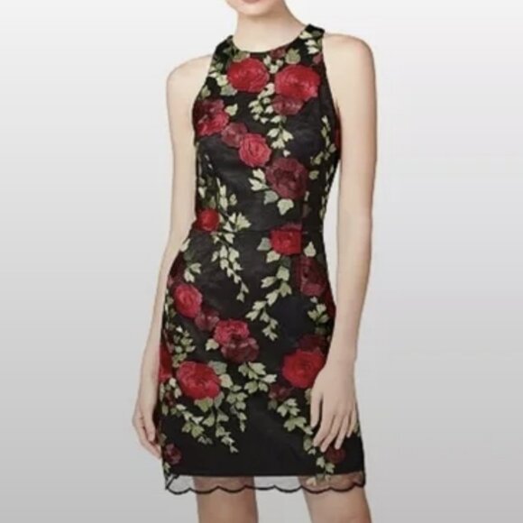 Betsey Johnson Dresses & Skirts - EUC! Betsey Johnson Black and Rose Dress Size 10